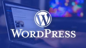 WordPress Revisions not Showing Why Does it Happen and How to Fix it