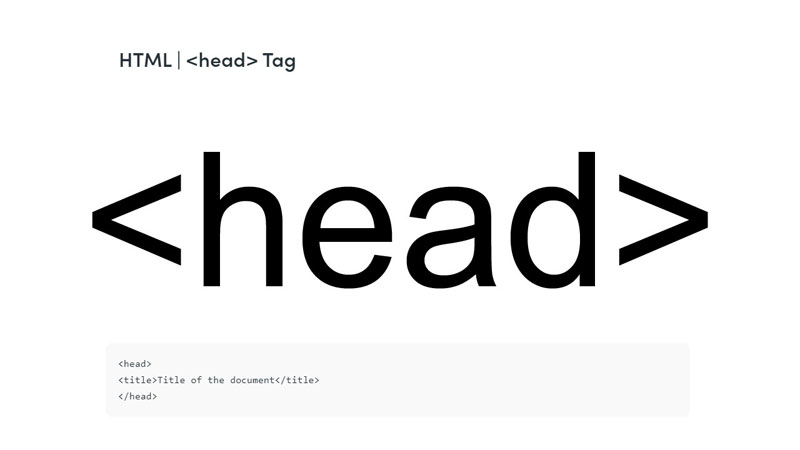 Where Is The Head Tag In WordPress? Where Is The Head Tag In WordPress?